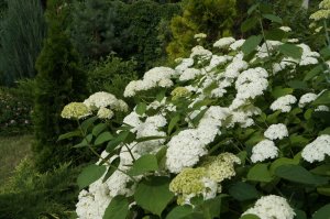 DSC07114.JPG