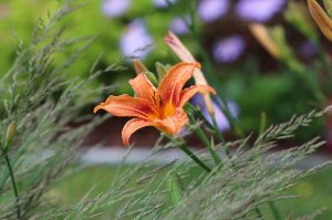 IMG_2159.JPG