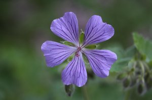 IMG_8468.JPG