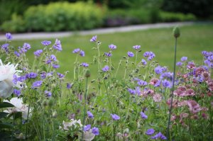 IMG_0479.JPG