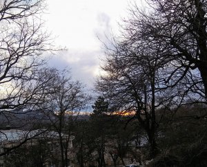 IMG_20200227_194220.jpg