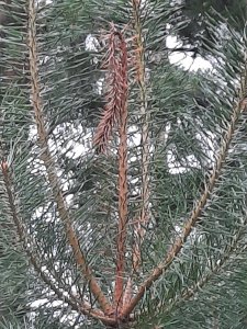20200713_181019.jpg