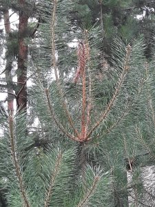 20200713_180823.jpg