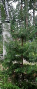 20200713_181312.jpg