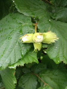 IMG_20200713_185229.jpg