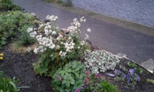 20190925_181246.jpg