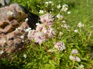 DSCN2118.JPG