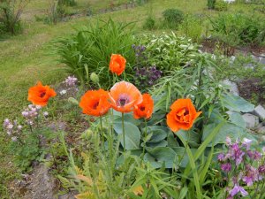 DSCN1514.JPG