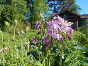 DSCN1328.JPG