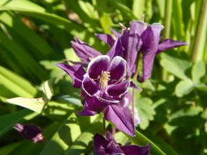 DSCN1329.JPG