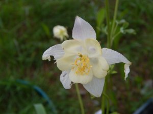 DSCN1538.JPG
