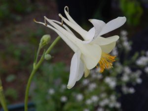 DSCN1539.JPG