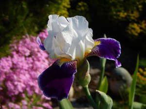 DSCN1506.JPG