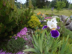 DSCN1519.JPG