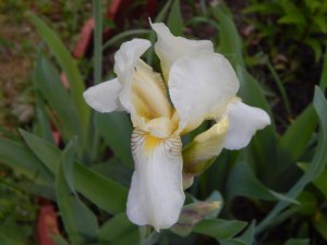 DSCN1536.JPG