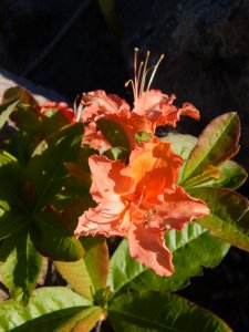 DSCN1357.JPG