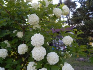 DSCN1400.JPG