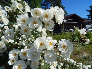 DSCN1568.JPG