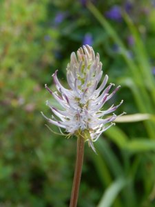 DSCN1457.JPG