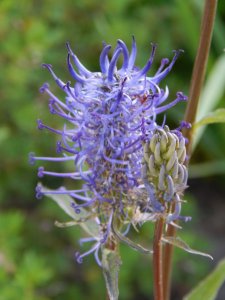 DSCN1458.JPG