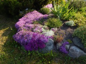 DSCN1507.JPG