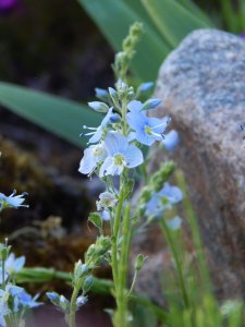 DSCN1317.JPG