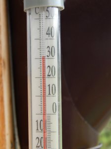 DSCN1510.JPG