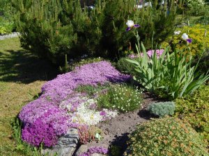 DSCN1577.JPG