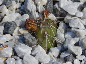 DSCN1339.JPG