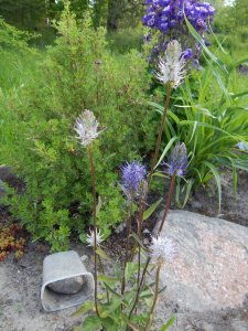 DSCN1456.JPG