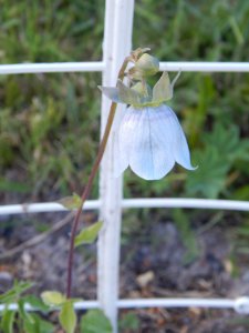 DSCN1603.JPG