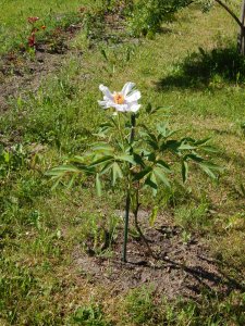 DSCN1637.JPG