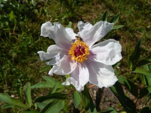 DSCN1638.JPG