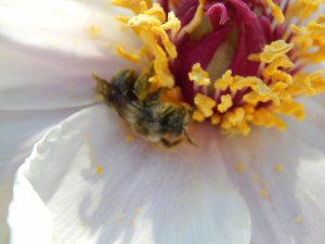 DSCN1648.JPG