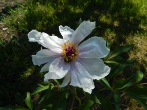 DSCN1649.JPG