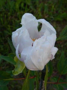 DSCN1698.JPG