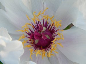 DSCN1716.JPG