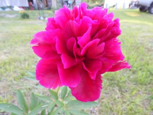 DSCN1720.JPG