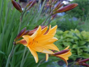 DSCN1621.JPG
