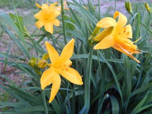 DSCN1633.JPG
