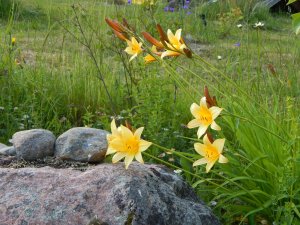 DSCN1708.JPG