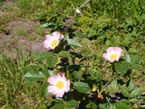 DSCN1594.JPG