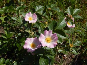 DSCN1734.JPG