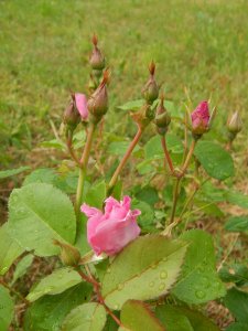 DSCN1770.JPG