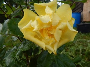 DSCN1796.JPG