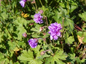 DSCN1598.JPG