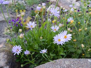 DSCN1609.JPG