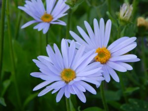 DSCN1610.JPG