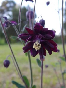 DSCN1613.JPG