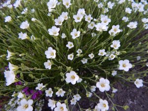DSCN1619.JPG